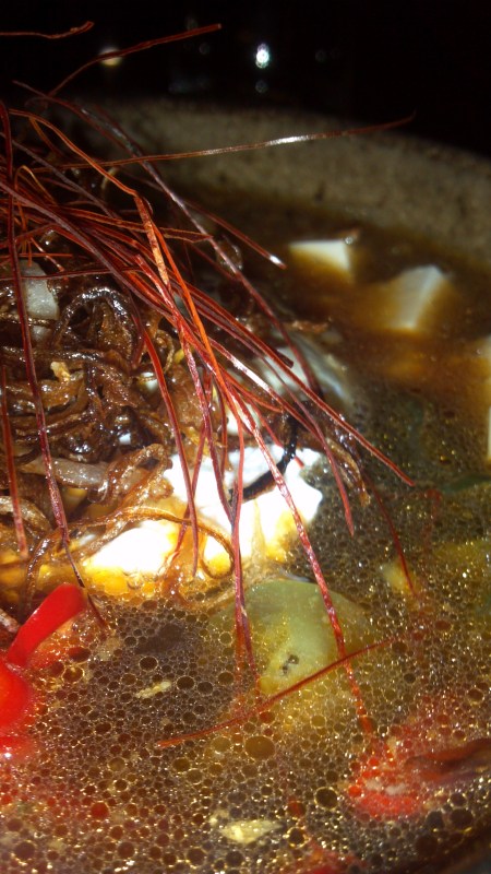 2012-11-19_19-48-50_864